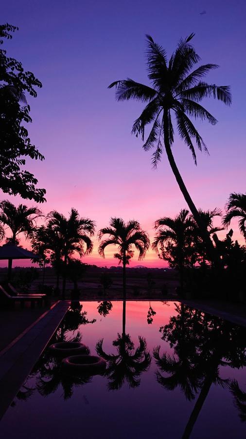 Hoi An Four Seasons Villa Экстерьер фото